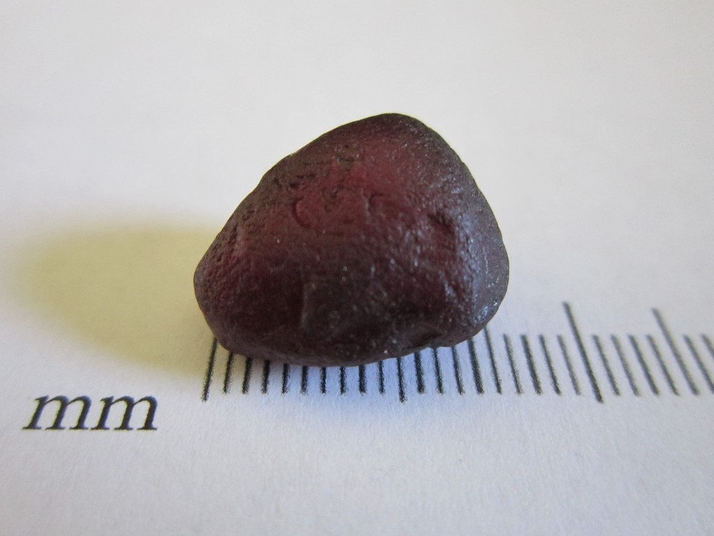 raspberry rhodolite 19.55cts