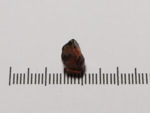 Mali Garnet 3.64cts