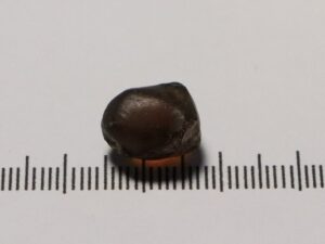 Mali Garnet 12.28cts