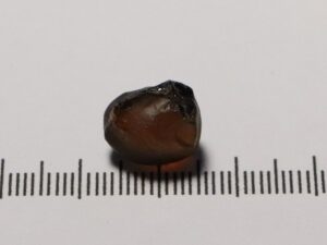Mali Garnet 12.28cts