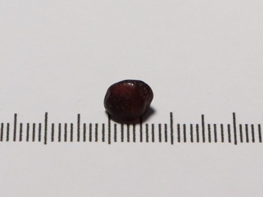 Garnet 2.96cts