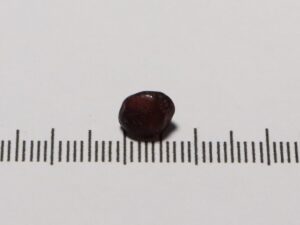 Garnet 2.96cts