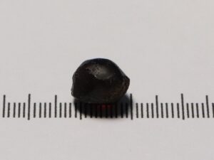 Pyrope Garnet 11.14cts